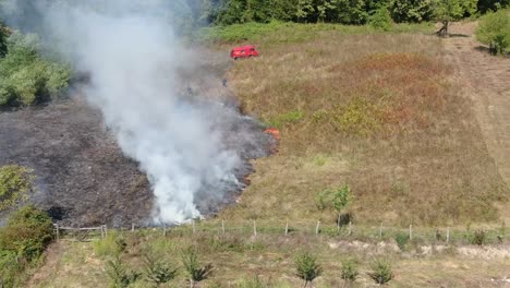 fire on meadow. day on summer and spring