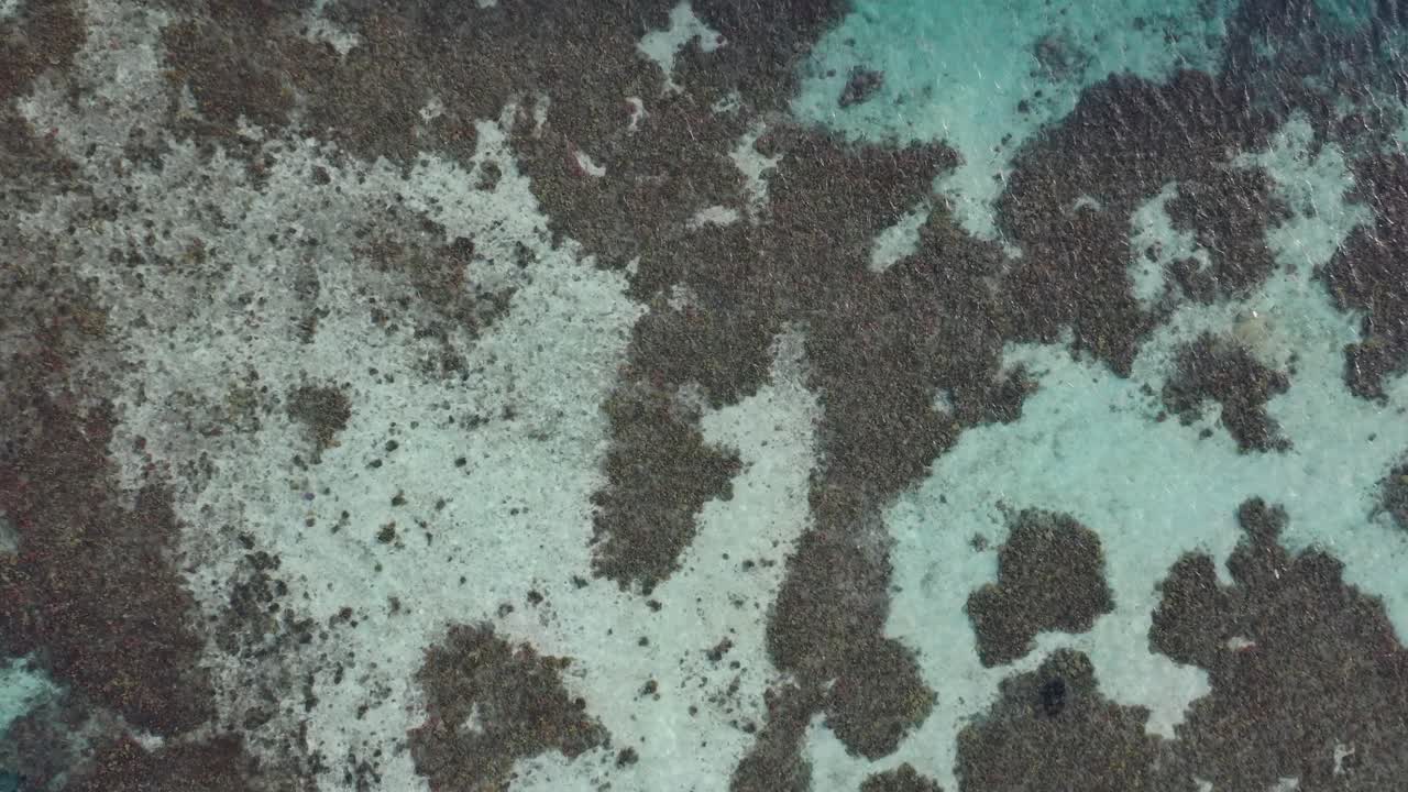 naufragio de al-fahad ubicado en mar rojo km al sur de