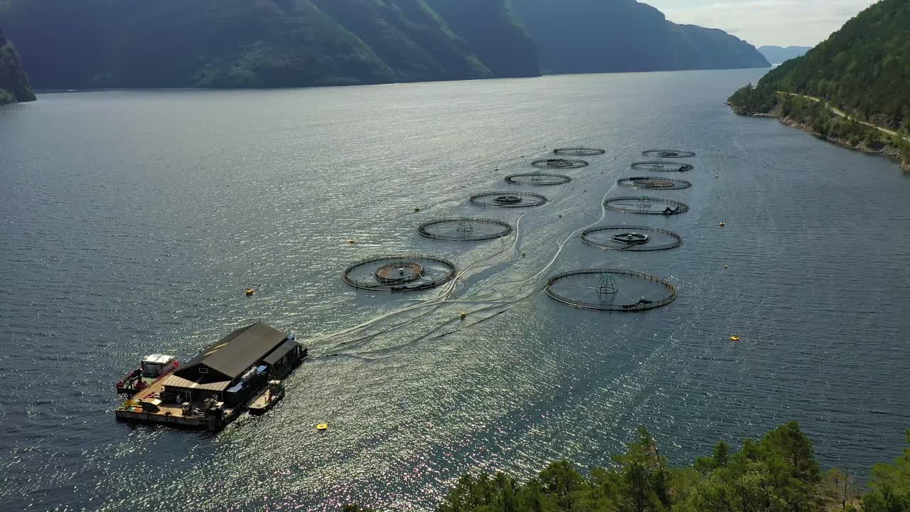 노르웨이에서 연어  ⁇ 시를 하는 공중 촬영