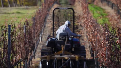 Rack-Fokus-Eines-Landarbeiters,-Der-Einen-Traktor-In-Einem-Kalifornischen-Weinberg-Fährt