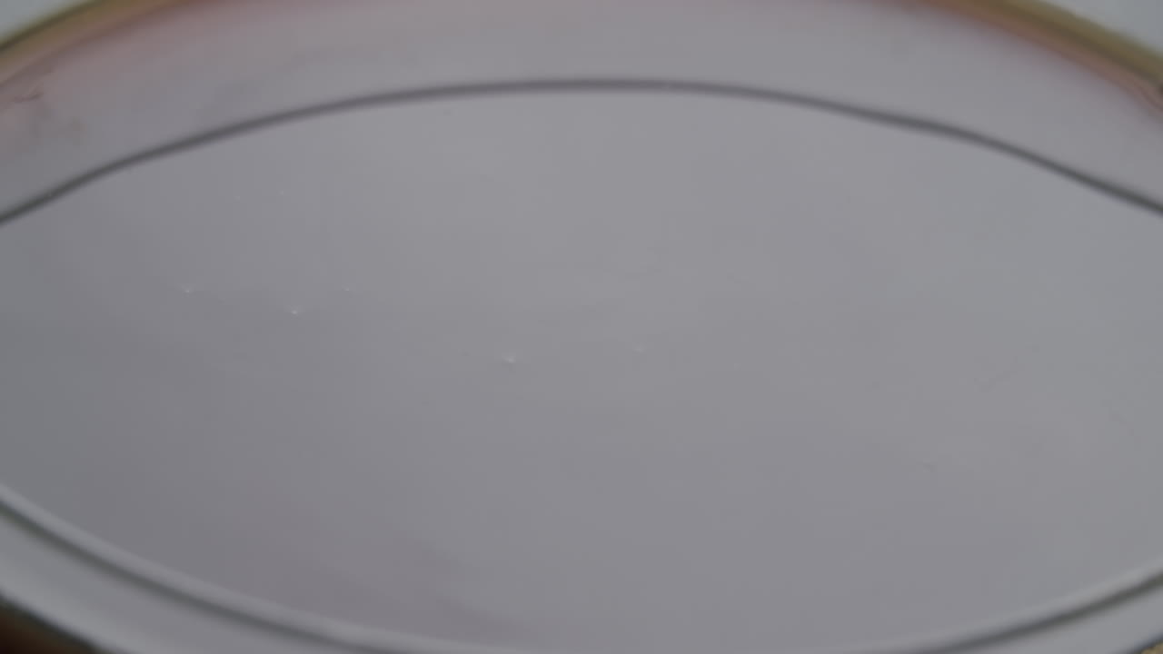Close up shot of a petri dish filled with water