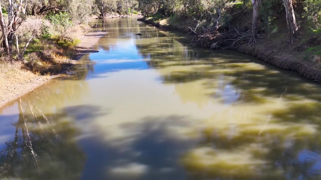 High angle drone shot of a tranquil river with eucalyptus trees in Gunnedah, Australia.