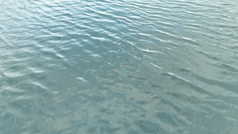 gentle ripples moving across a water body