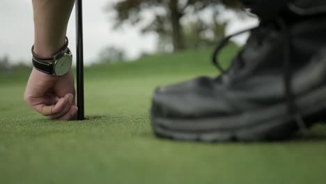 a perfectly focused shot of a golf ball being putt into the hole