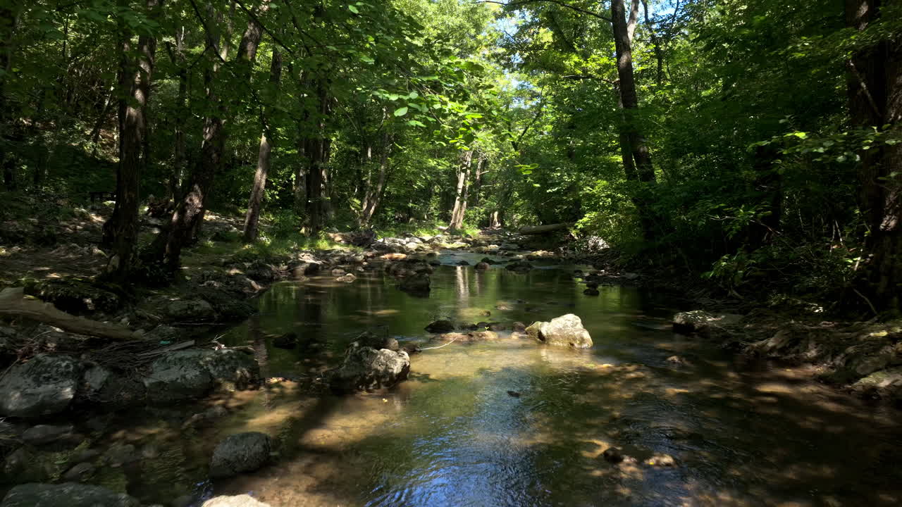 Forest Stream with Rocks and Trees