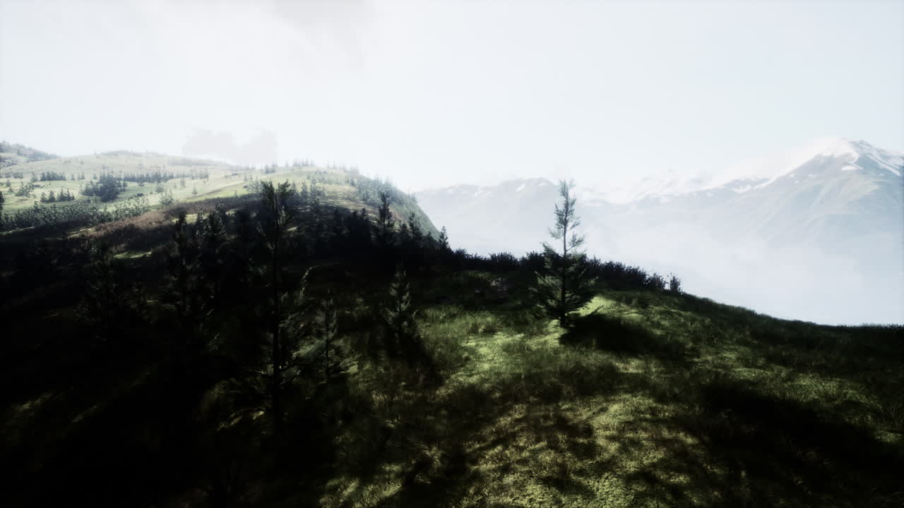 눈 인 봉우리, 나무, 안개가 있는 경치 좋은 산맥