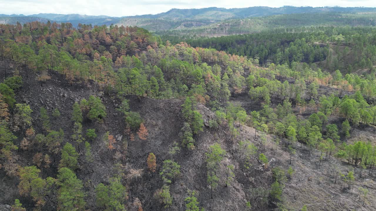 Wildfire aftermath on mountain forest terrain in Honduras, anthropogenic erosion