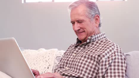 Hübscher-Reifer-Mann,-Der-Laptop-Auf-Der-Couch-Benutzt