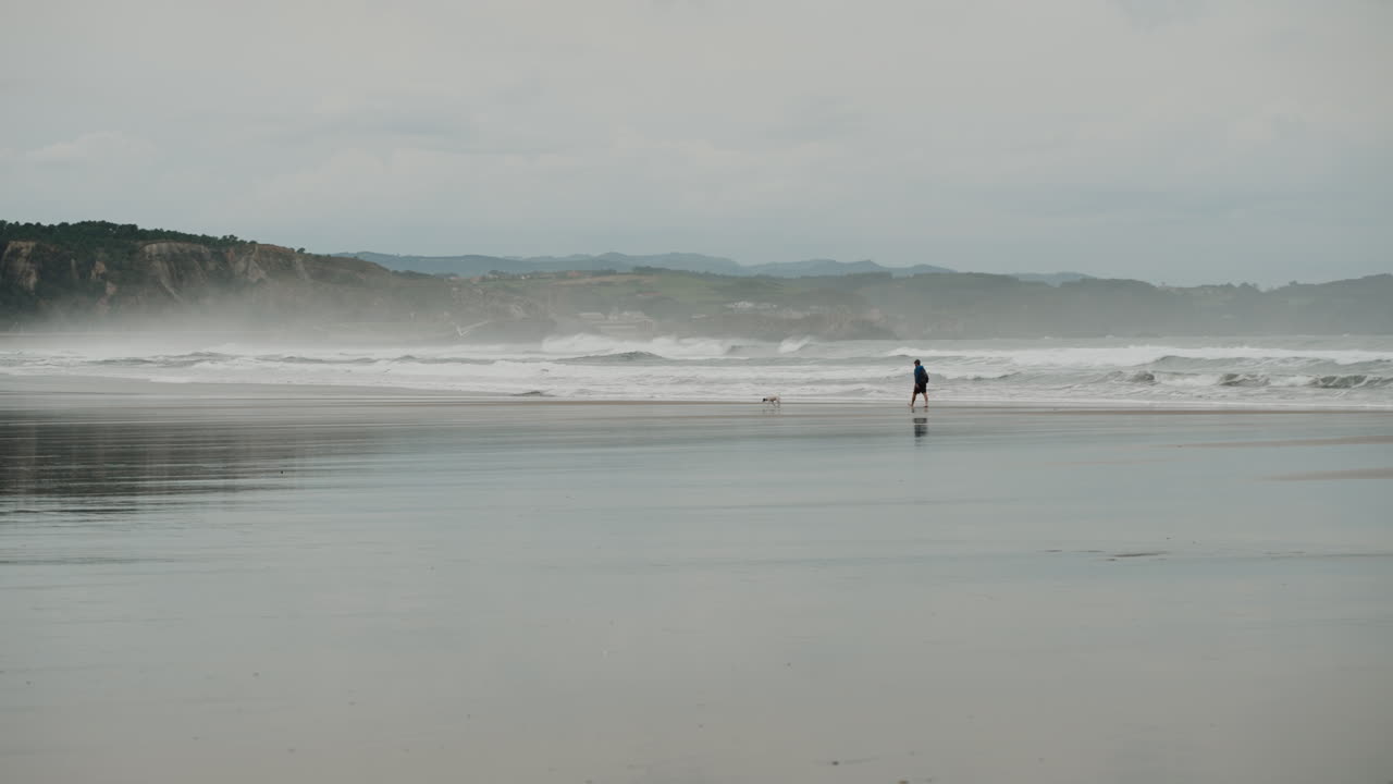 Person walking dogs on a beach during a stormy weather