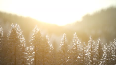 Herrliche-Weihnachtsszene-Im-Bergwald.-Bunter-Wintersonnenaufgang