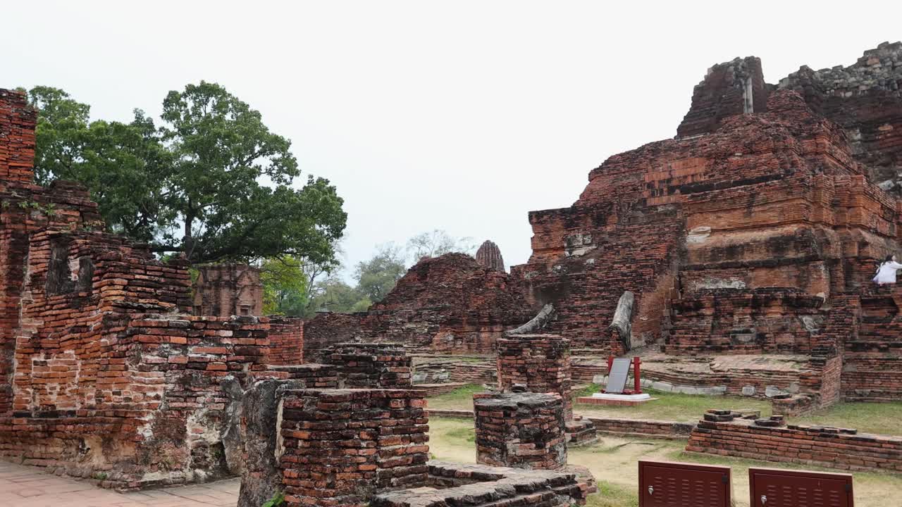los turistas exploran las ruinas de antiguos templos en ayutthaya
