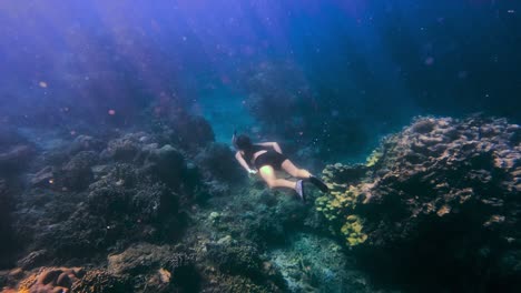 woman snorkling underwater in beautiful blue ocean and coral reefs with stunning rays of light from above