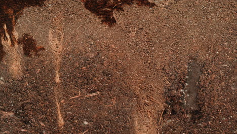 close-up view of soil texture