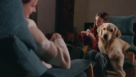 familienzeit beim stricken mit einem hund