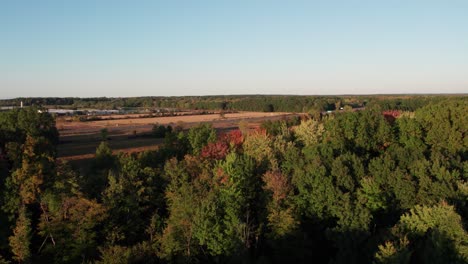 Drone-Aéreo-Volando-Sobre-Las-Copas-De-Los-árboles-En-Las-Afueras-De-Un-Denso-Bosque-Durante-La-Noche-Otoñal