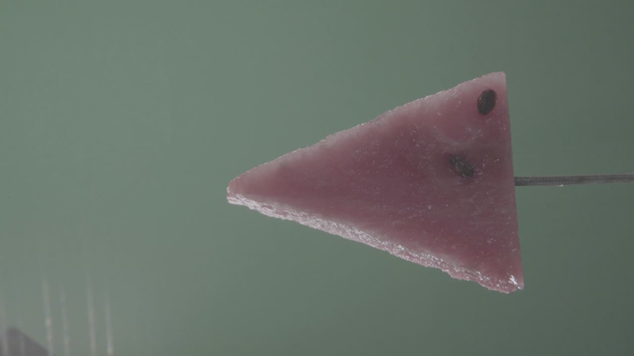 sandía girando con bucle en la pantalla verde para la llave de croma