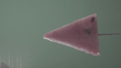 watermelon rotating with loop on green screen for chroma key