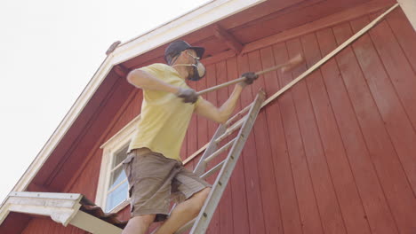 caucasian worker on ladder brushes off falu red paint from exterior wooden wall