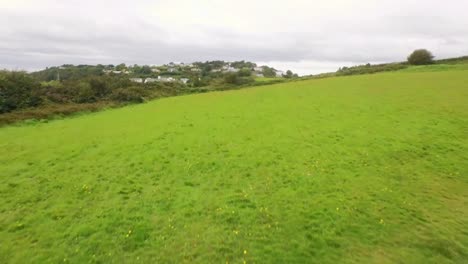 fit woman running in a green landscape