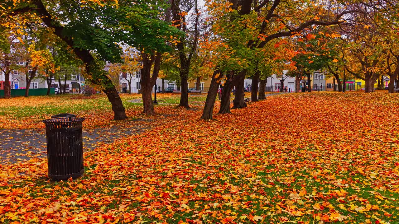 Picnic table sits under a sweeping branch of a big orange tree; lamppost and fallen leaves create a serene autumn scene