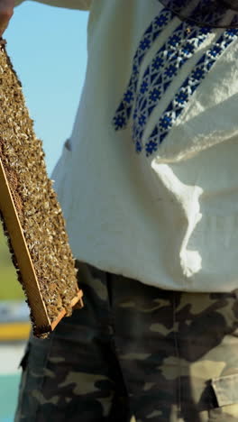 beekeeper works in a hive - adds frames, watching bees. beekeeper inspecting frame with honeycomb full of bees. apiary concept vertical video