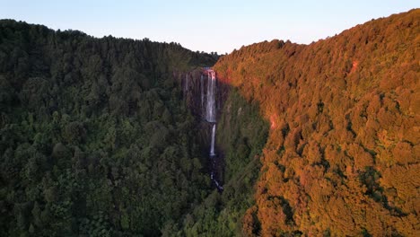 Wairere-Falls-On-The-Kaimai-Ranges-In-Waikato-Track,-Okauia,-North-Island,-New-Zealand