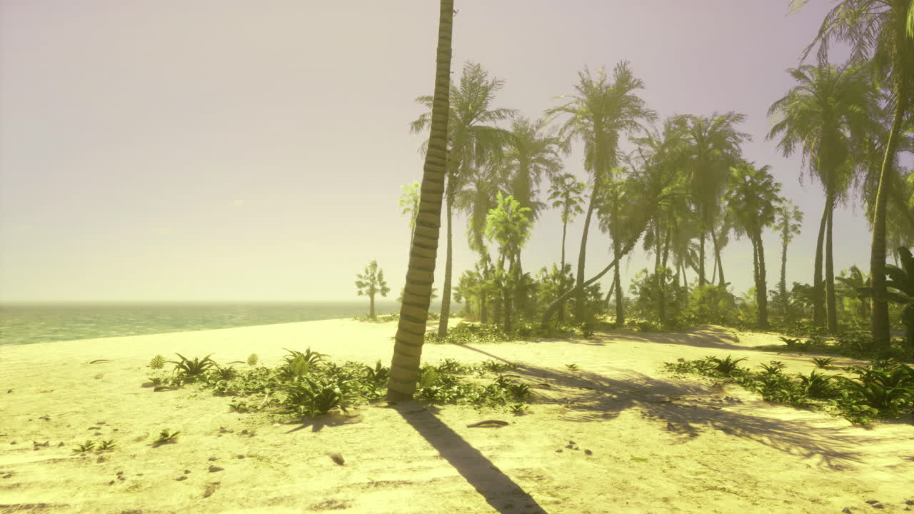 Peaceful tropical beach with palm trees and gentle waves at sunrise