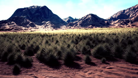 paisaje desértico en el parque nacional del cráter