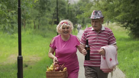 Picknick-Am-Familienwochenende.-Aktives-älteres-Großelternpaar-Im-Park.-Mann-Und-Frau-Gehen-Zusammen