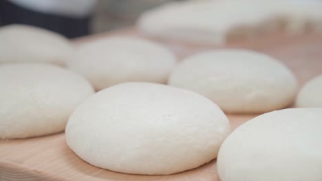 rows of many bread loaves formed ready to be baked in bakery