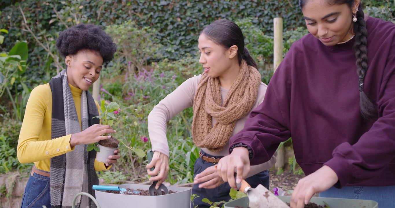 African American friends scooping potting soil, planting seedlings at backyard table for garden