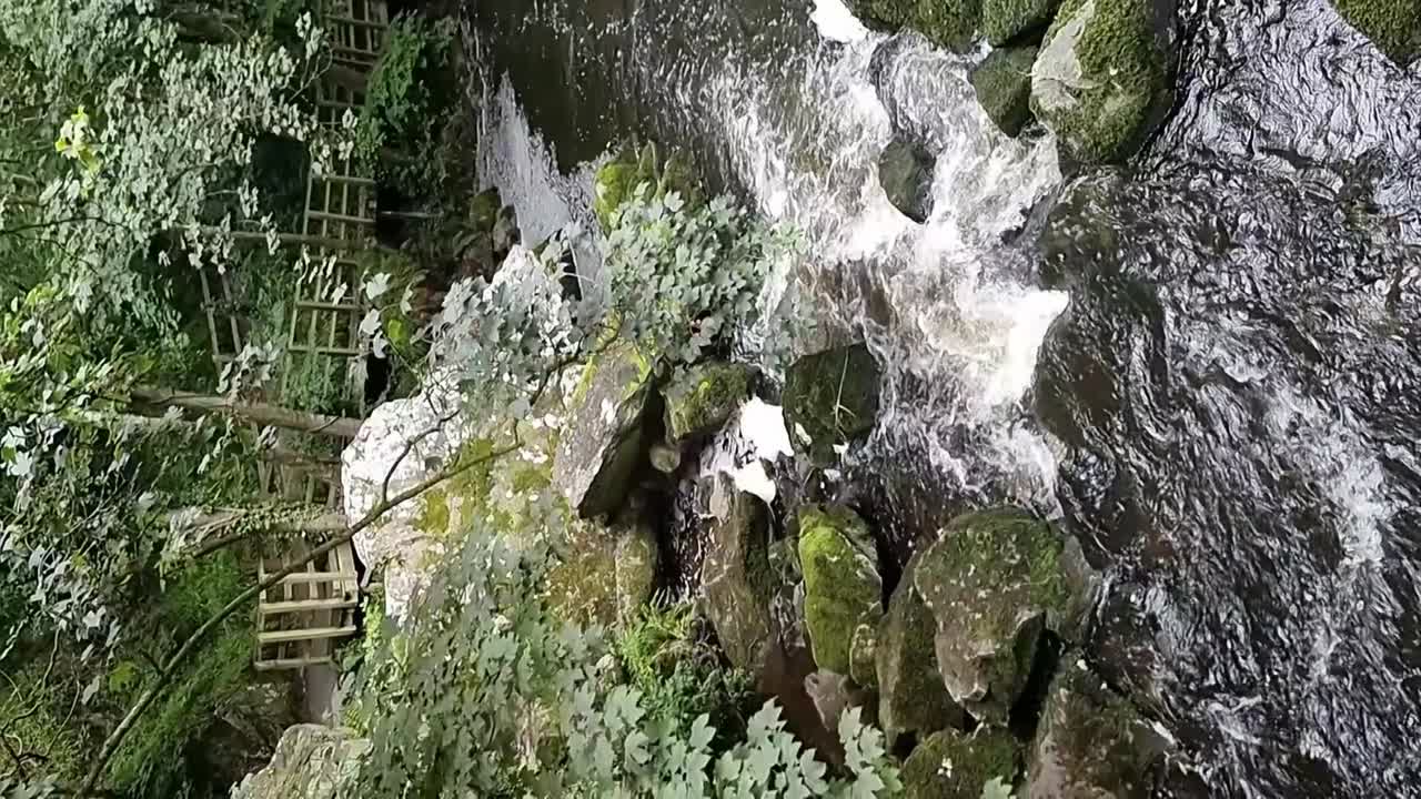 로키 웨일스 우드랜드 숲 자연 보호 구역을 가로지르는 수직 천천히 움직이는 하천