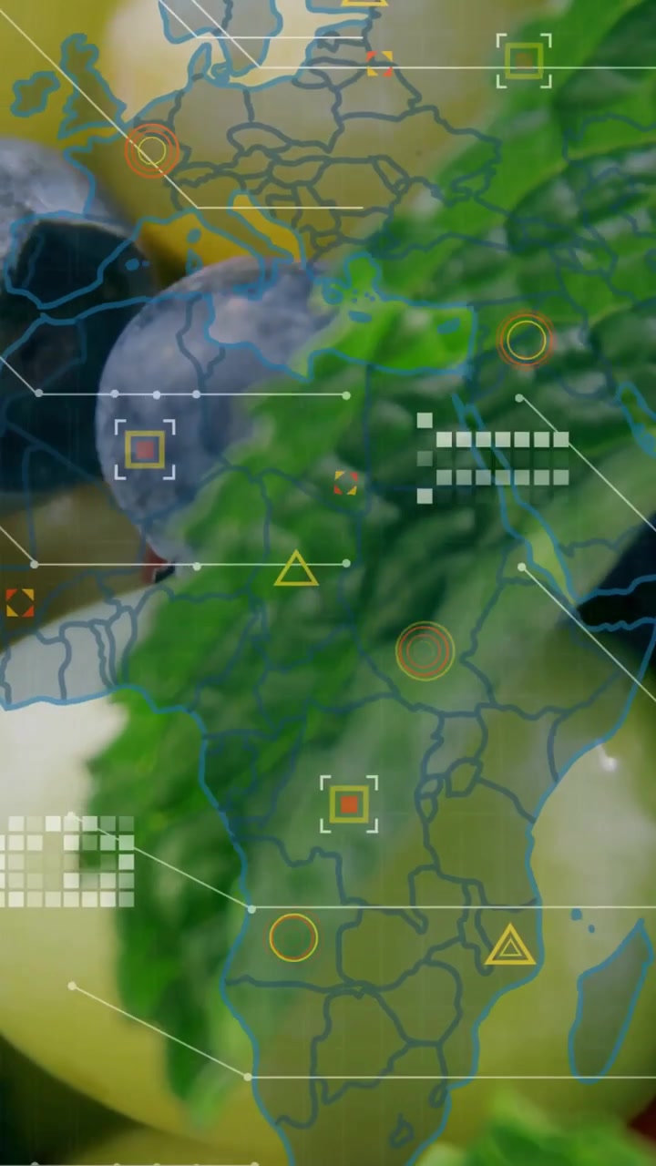 Vertical video: HUD overlay fading and scanning over blueberry, grapes, mint leaf, mapping produce