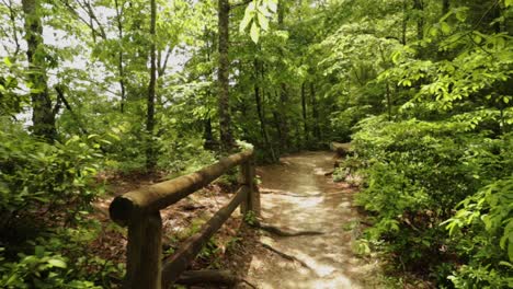 nature hike at natural bridge state park, kentucky