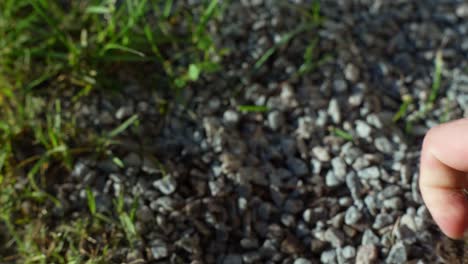 close up of hands of gardener removing weeds from stony ground