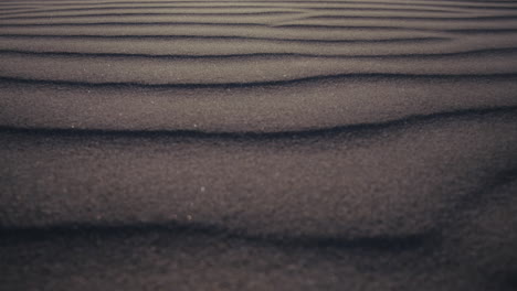 close-up view of wind patterns in sand