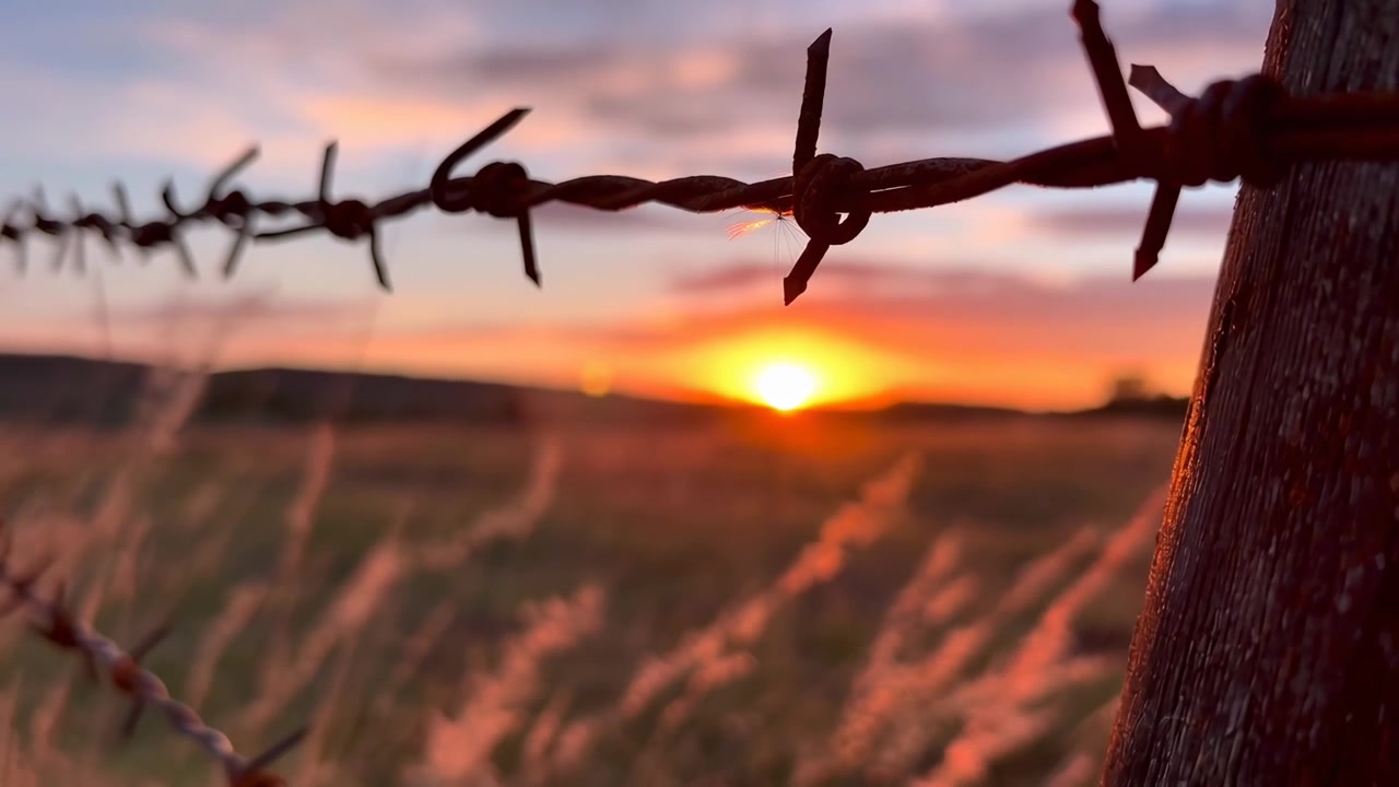 Recinzione di filo spinato in un prato al tramonto
