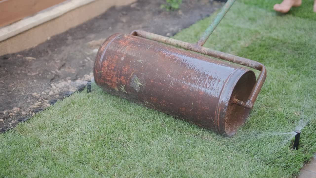 Roll of new natural grass turf installed by professional gardener. Landscaping industry.