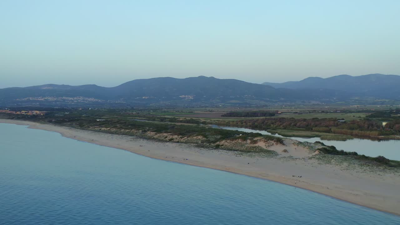 Splendida vista di una spiaggia sabbiosa con vegetazione verde vicino al mare blu.