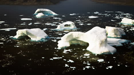 icebergs floating in dark ocean water near a remote coastline