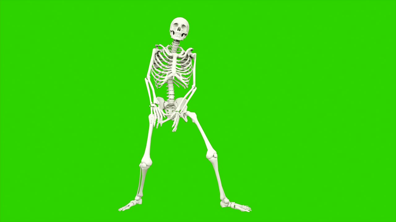 danza dello scheletro. animazione a loop senza soluzione di continuità sullo schermo verde.