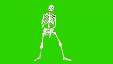 skeleton dancing. seamless loop animation on green screen.