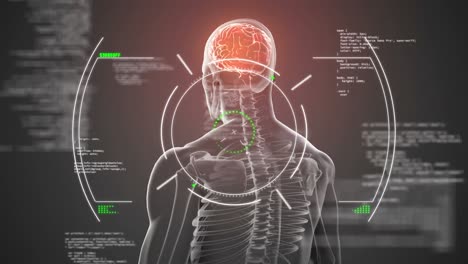 animación del procesamiento de datos sobre el cerebro humano