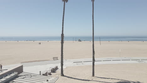 southern california beach as a drone flies through two palm trees