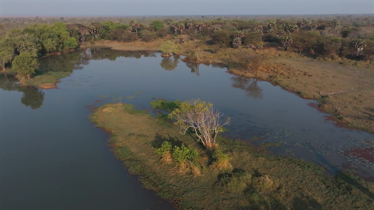 Vista aérea do Rio Malagarasi cortando a paisagem africana, revelando a vasta natureza selvagem e a beleza natural.