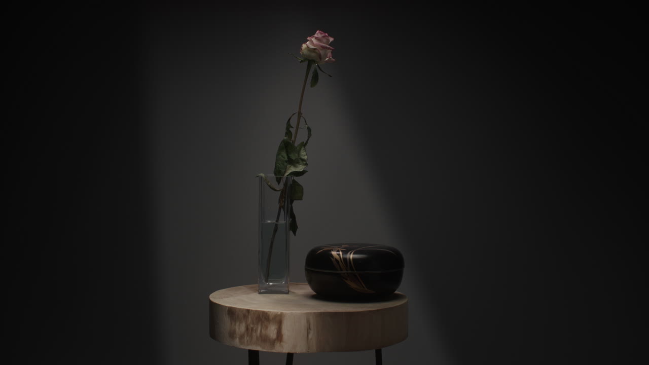 A single rose withers in a vase timelapse