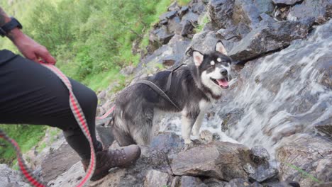 Alaskan-Malamute-Mit-Einer-Leine,-Die-Von-Seinem-Besitzer-Auf-Dem-Felsigen-Fluss-In-Donnmannen,-Norwegen,-Gehalten-Wird