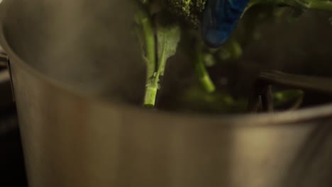 SLOWMO---Close-Up---Chef-putting-a-raw-broccoli-into-a-pot-of-hot-water-in-a-restaurant-kitchen