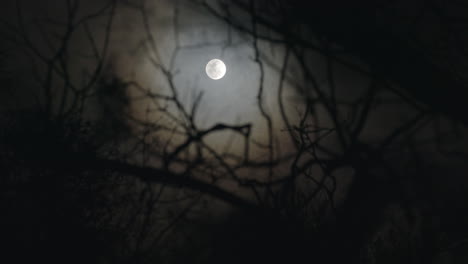 Enfóquese-En-Una-Espeluznante-Luna-Llena-En-Una-Noche-De-Niebla