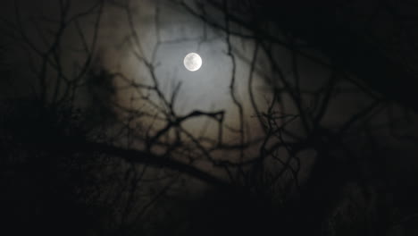 Konzentrieren-Sie-Sich-Auf-Einen-Gruseligen-Vollmond-In-Einer-Nebligen-Nacht